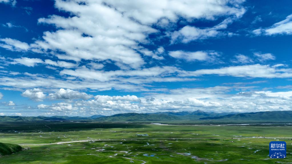 夏日玛曲湿地-甘肃省甘南藏族自治